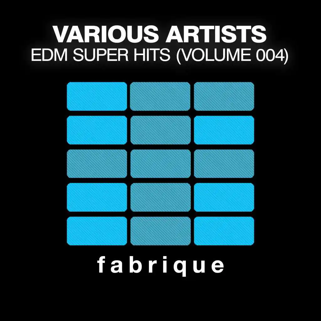 EDM Super Hits (Vol. 004)