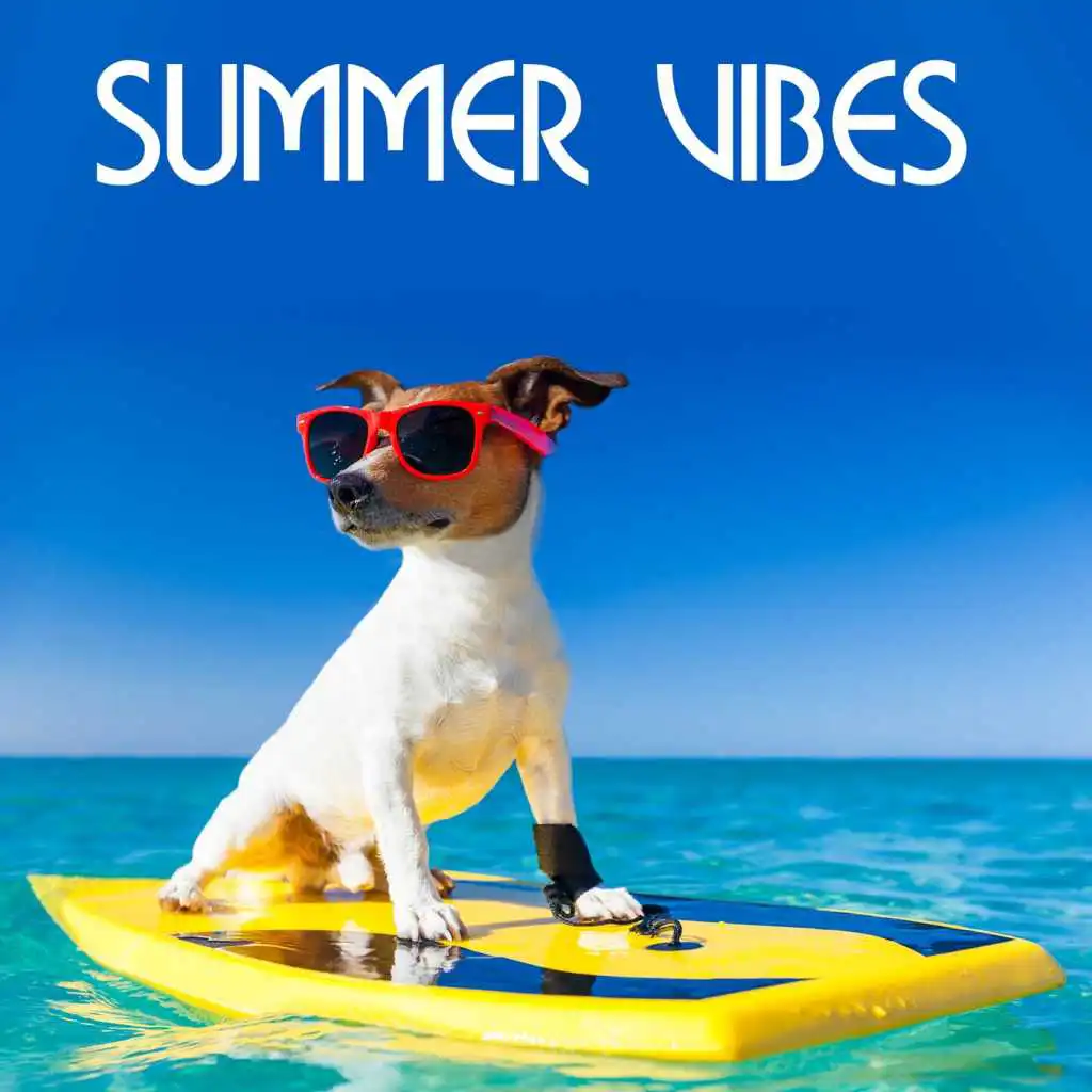 Summertime (Alex Gaudino Mix)