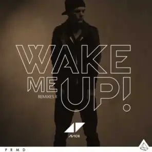 Wake Me Up (EDX Miami Sunset Remix)