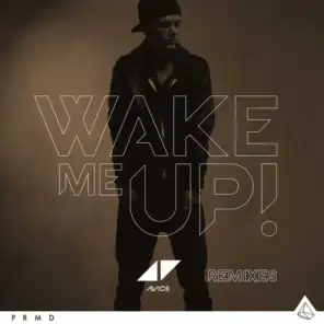Wake Me Up (Reggae Mix)