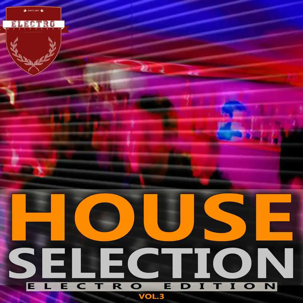 House Selection, Vol. 3