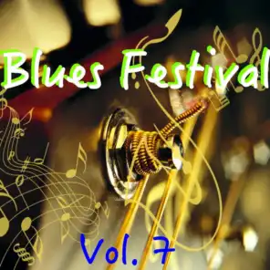 Blues Festival, Vol. 7