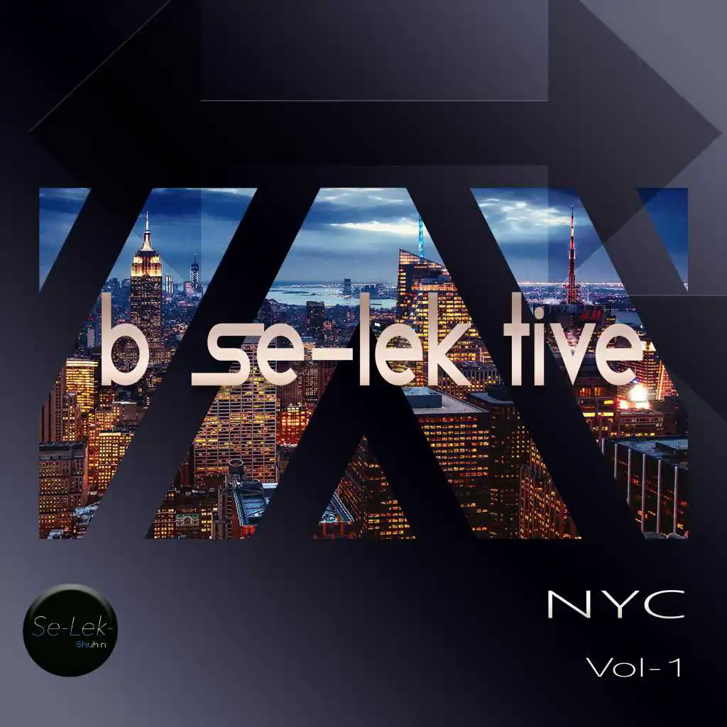 B Se-Lek tive NYC, Vol. 1