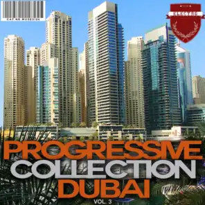 Progressive Collection Dubai, Vol. 3