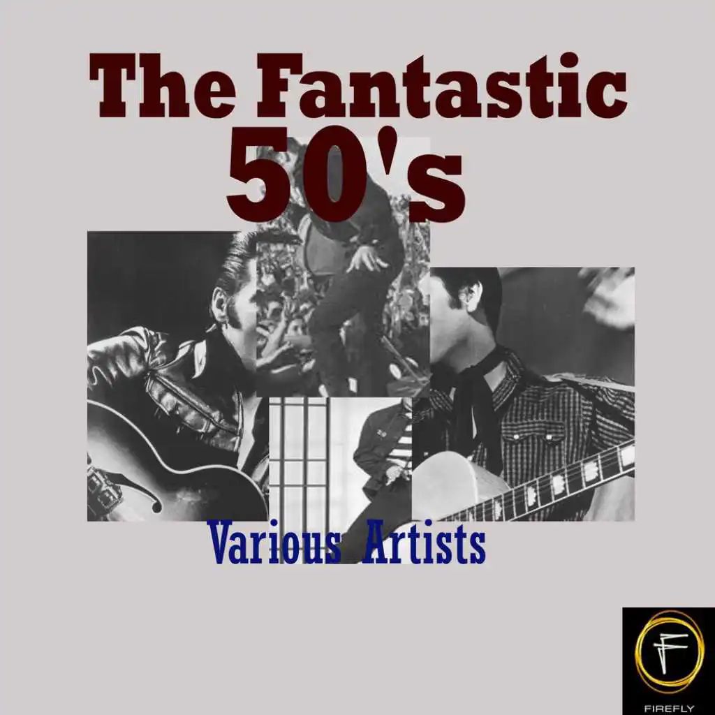 The Fantastic  50's