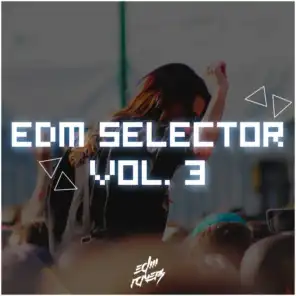 EDM Selector, Vol. 3