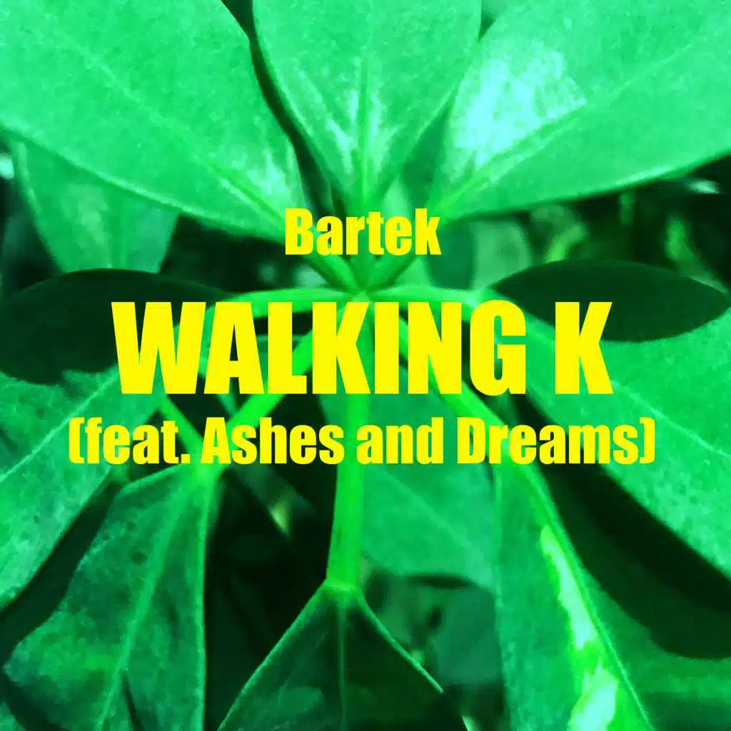 Walking K (feat. Ashes & Dreams)