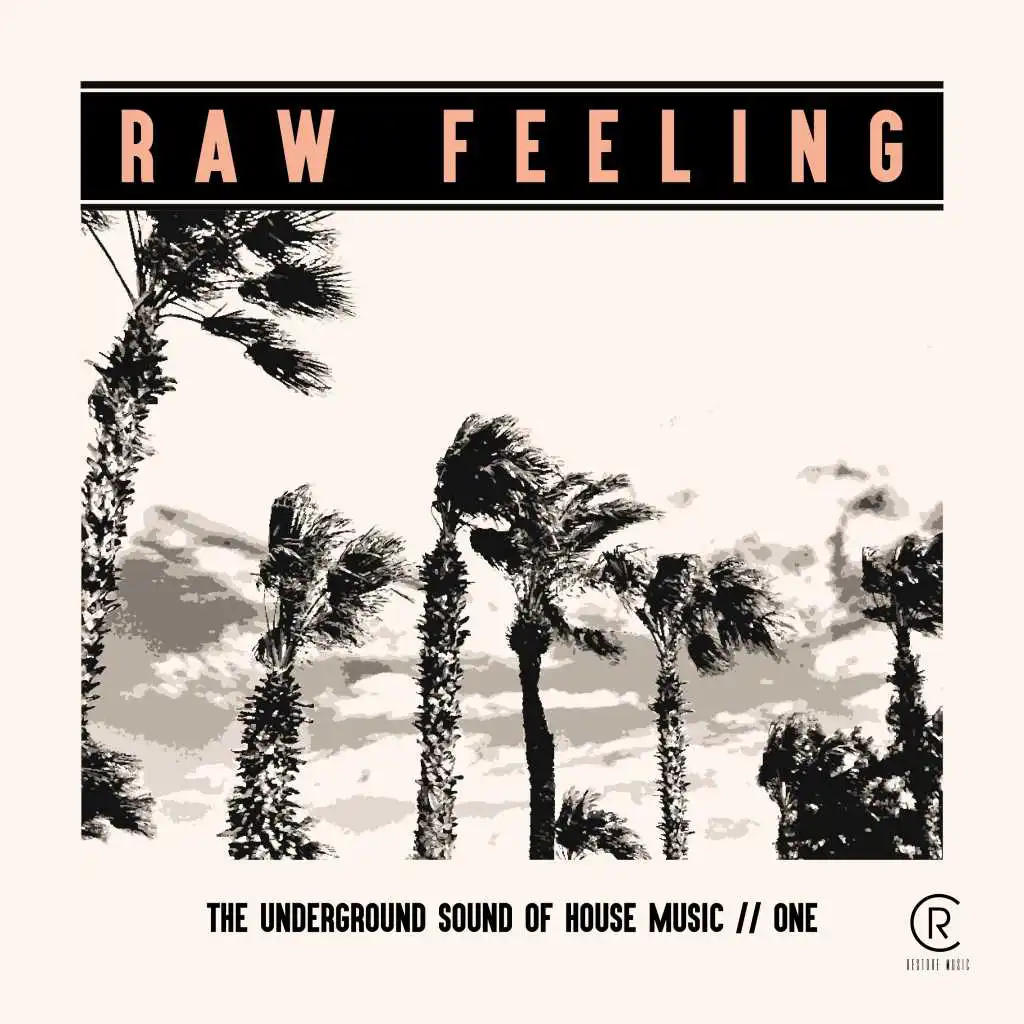 Raw Feeling - The Underground Sound of House Music, Vol. 1