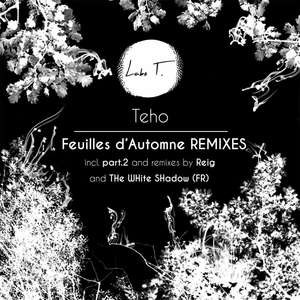 Feuilles d'automne (THe WHite SHadow (FR) Remix)