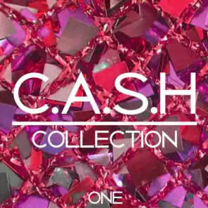 C.A.S.H. Collection, Vol. 1 - 100% Dance Music Anthems