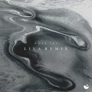 Try (LIVA Remix)