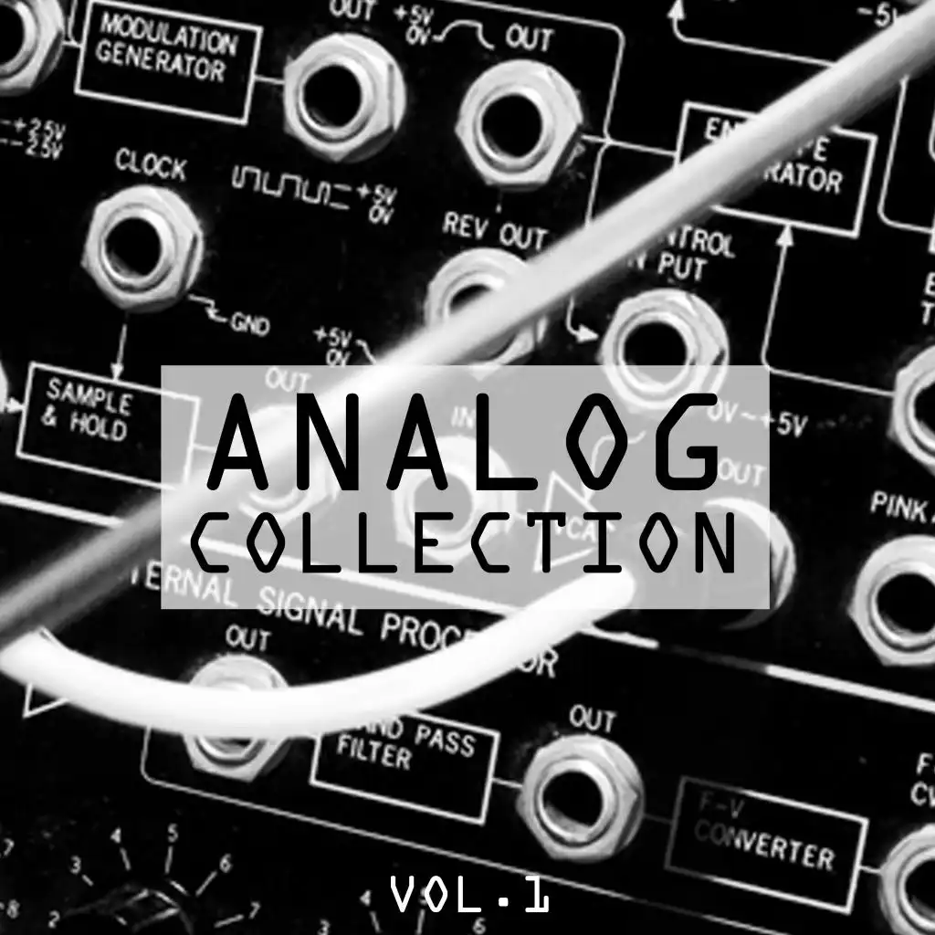 Analog Collection, Vol. 1 - 100% House Music