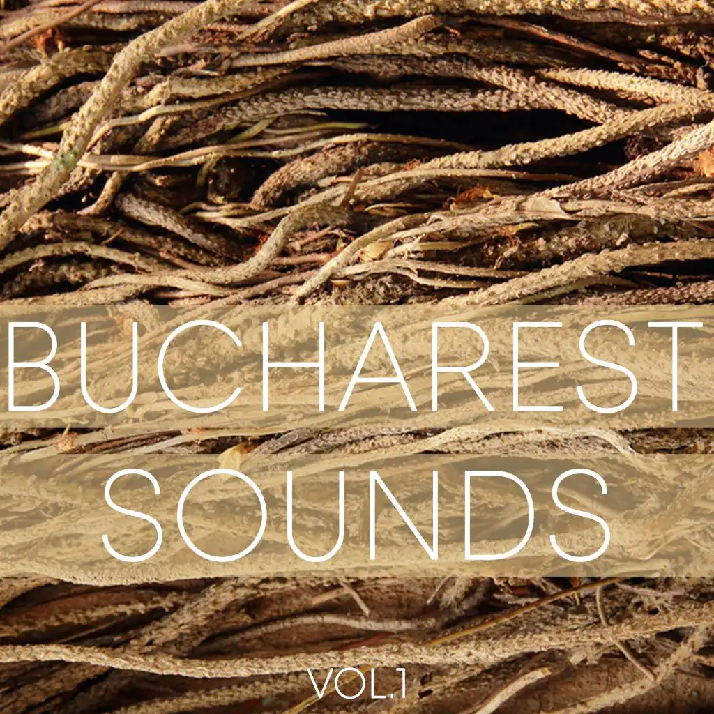 Bucharest Sounds, Vol. 1 - Minimal Romanian Style