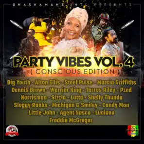Party Vibes, Vol. 4 (Conscious Editon)
