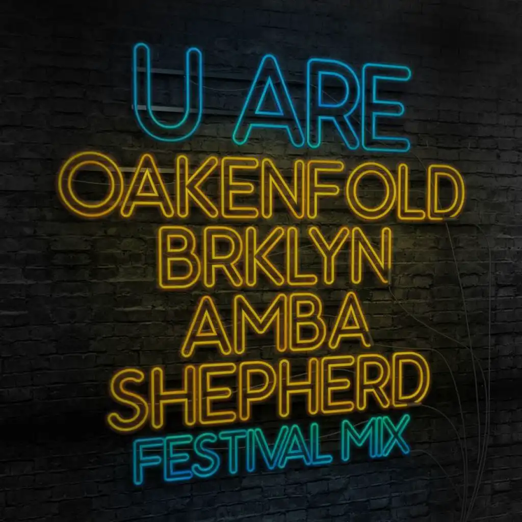 U Are (Festival Mix) [feat. Brklyn & Amba Shepherd]