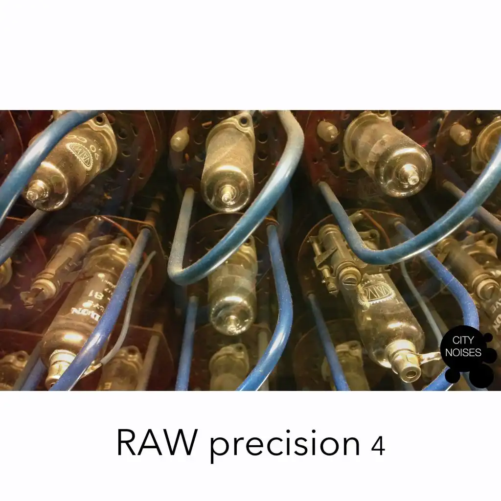 Raw Precision 4