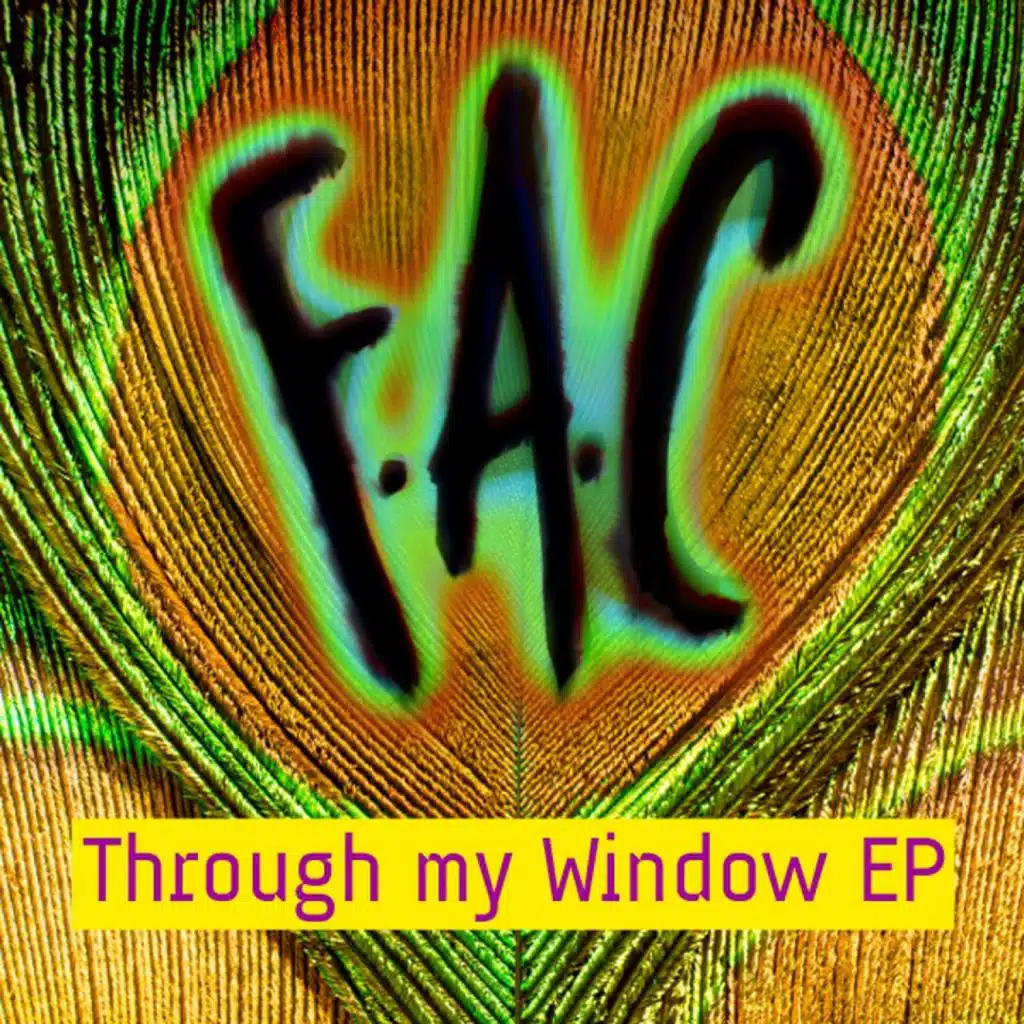 Through my window EP