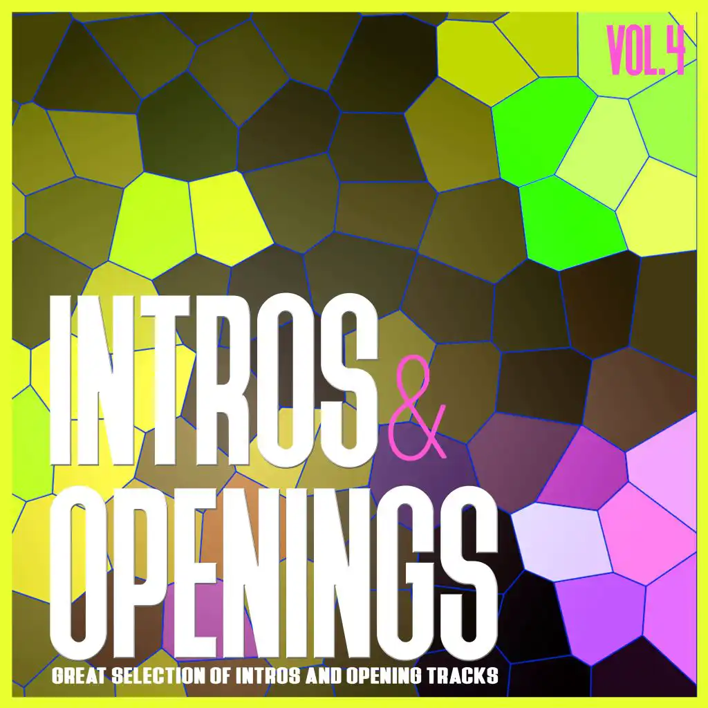 Intros & Openings, Vol. 4 - Great Selection of Intros and Opening Tracks