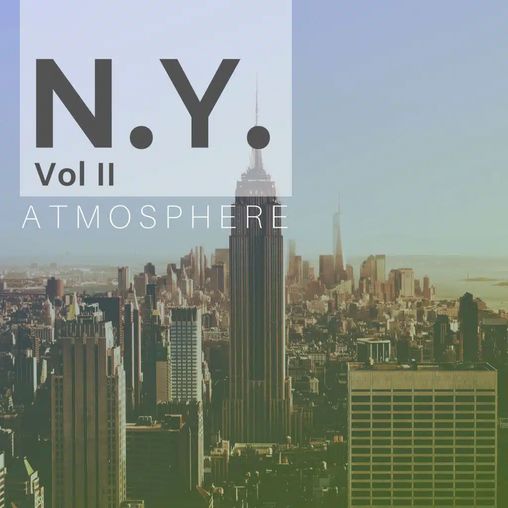 N.Y. Atmosphere