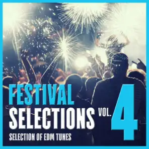 Festival Selections, Vol. 4 - Selection of EDM Tunes