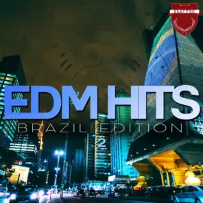 EDM Hits Brazil Edition, Vol. 2
