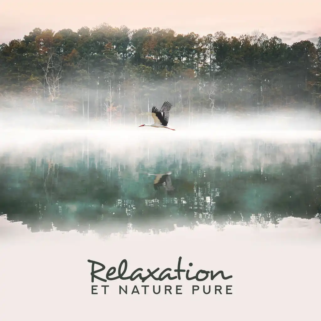 Relaxation et nature pure