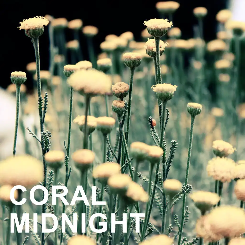 Coral Midnight