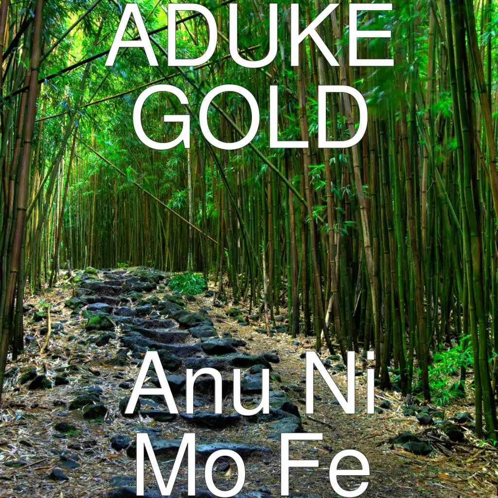 Anu Ni Mo Fe
