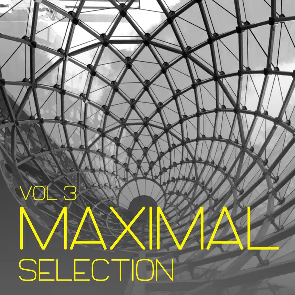 Maximal Selection, Vol. 3 - Minimal Tunes