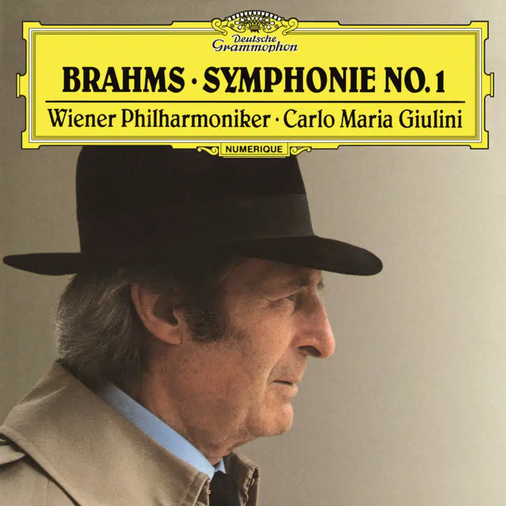 Brahms: Symphony No. 1 in C Minor, Op. 68: II. Andante sostenuto