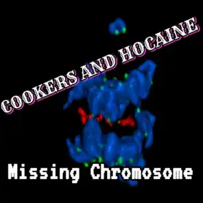 Missing Chromosone (DJ Purple Rabbit Remix, Pt. 2)