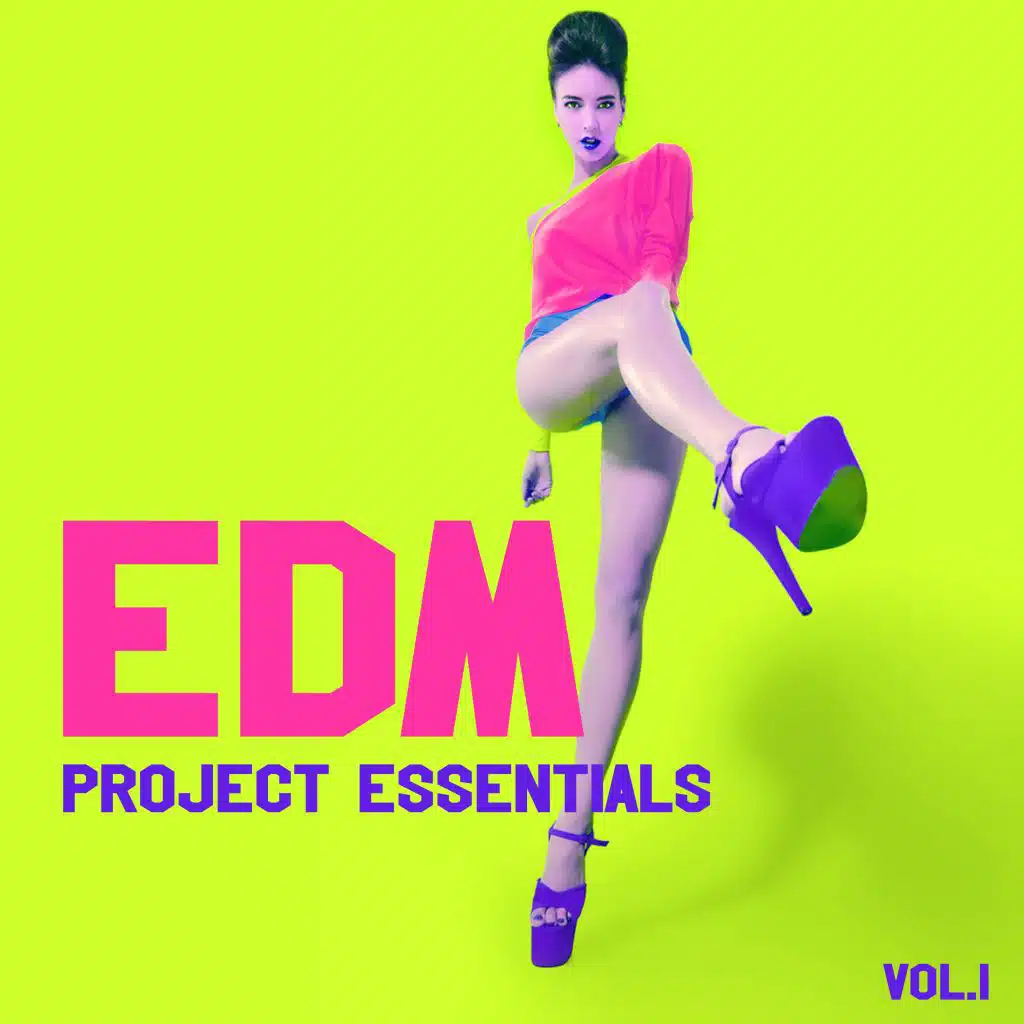 EDM Project Essentials, Vol. 1