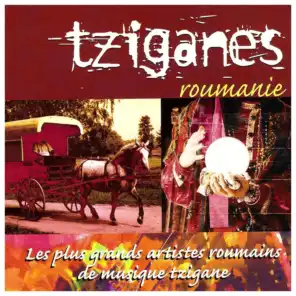 Tziganes Roumanie (Les plus grands artistes roumains de musique tzigane)