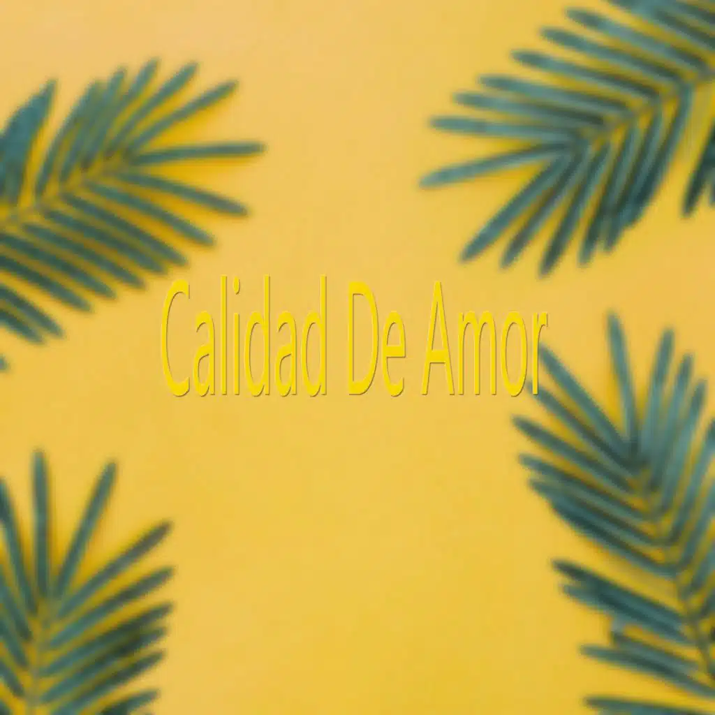 Calidad de Amor