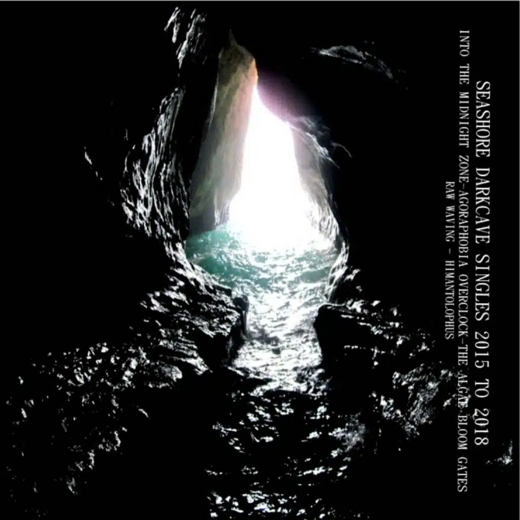 Seashore Darkcave 2015 - 2018