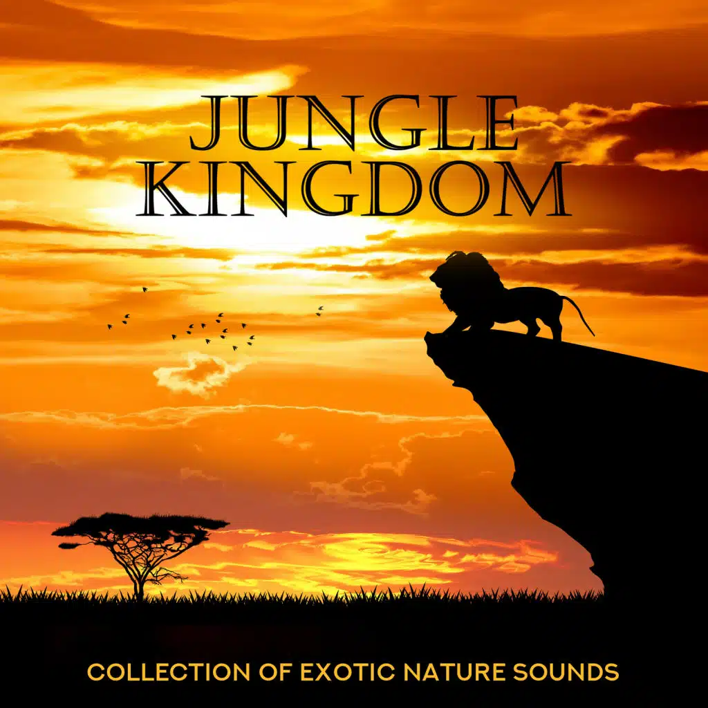 Jungle Kingdom - Collection of Exotic Nature Sounds: Therapy & Healing Relaxation