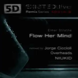 Flow Her Mind (Overheads Remix)