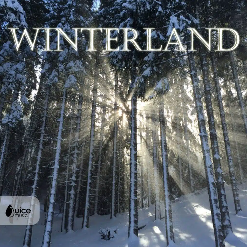 Winterland
