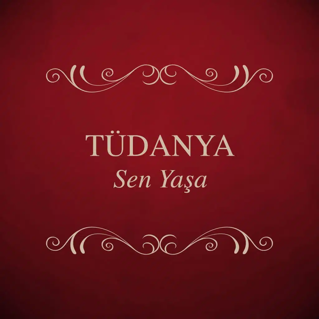 Başka Bir Şey İstemem