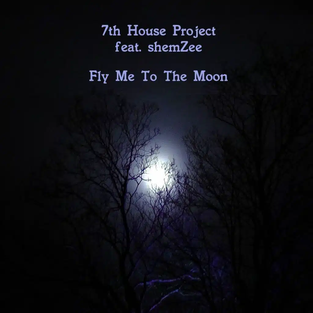 Fly Me To The Moon (feat. shemZee)