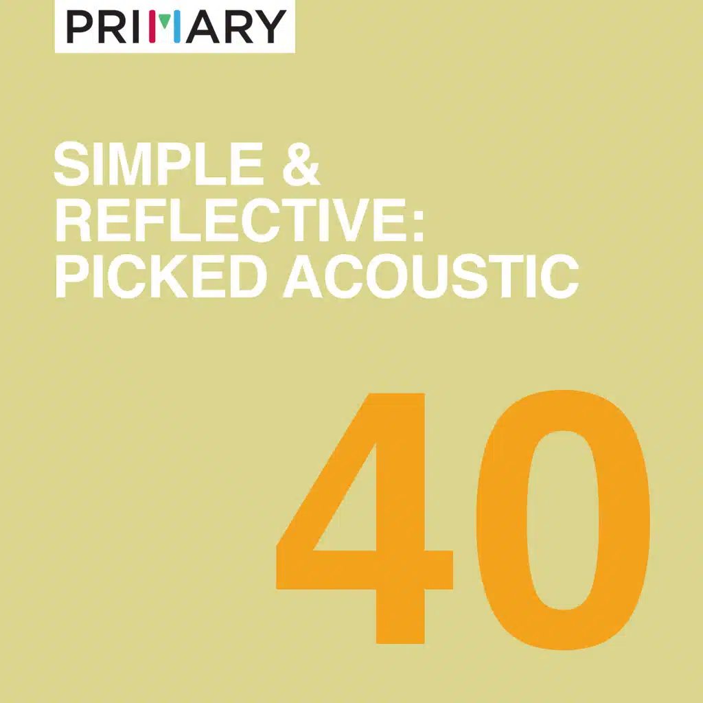 Simple & Reflective: Picked Acoustic