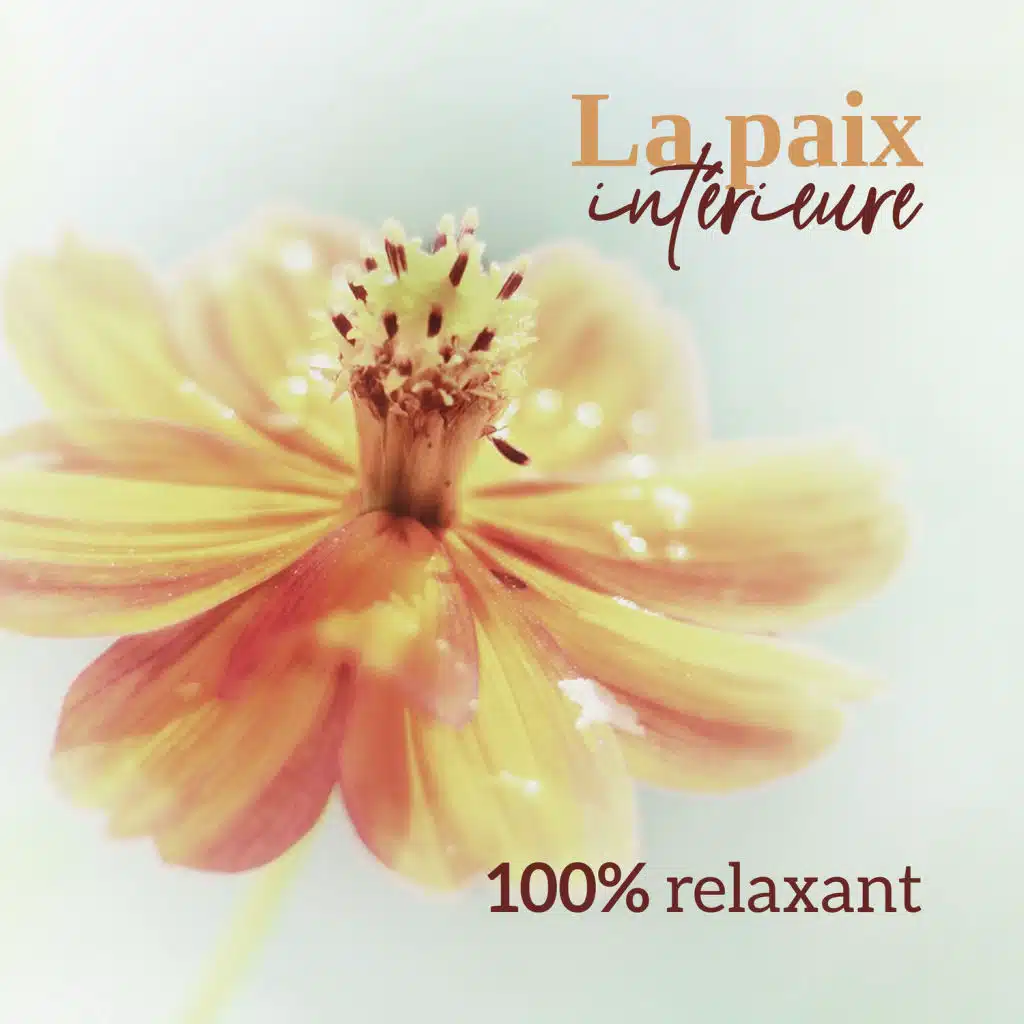 La paix intérieure - 100% relaxant: Flûte apaisante et anti stress musique pour troubles du sommeil et détendre en temps libre