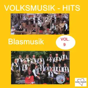 Volksmusik-Hits: Blasmusik, Vol. 9