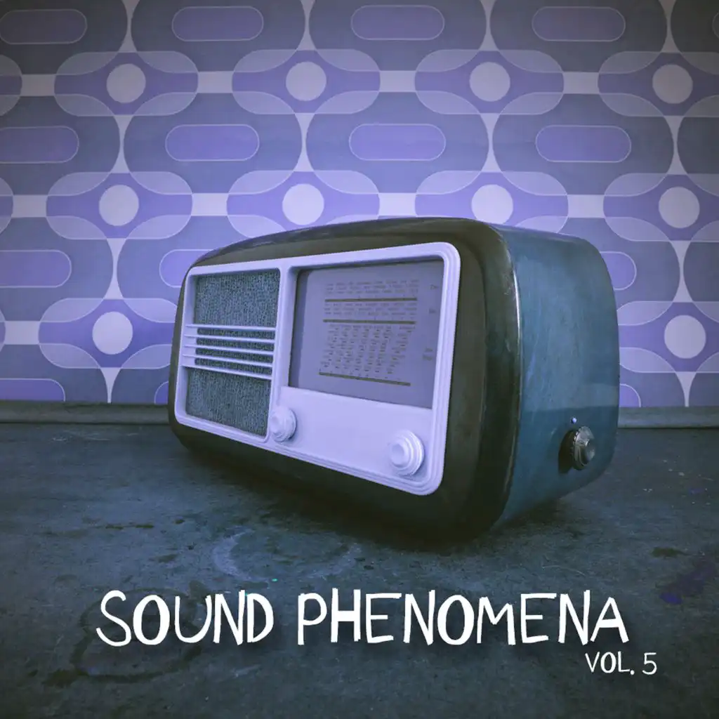 Sound Phenomena, Vol. 5 - Selection of Tech House