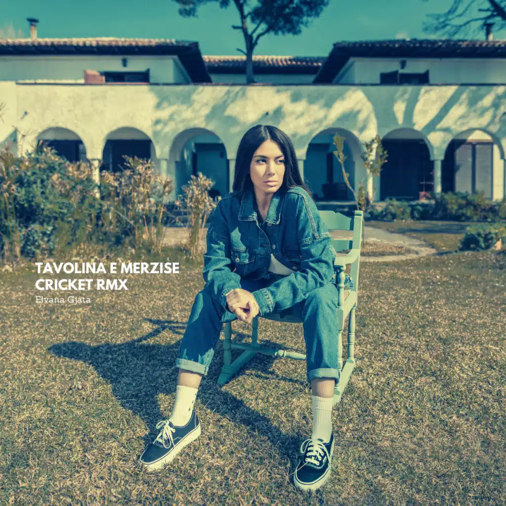 Tavolina E Mërzisë (Cricket Rmx)