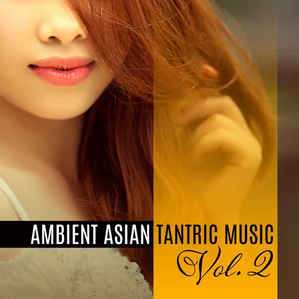 Ambient Asian Tantric Music Vol. 2