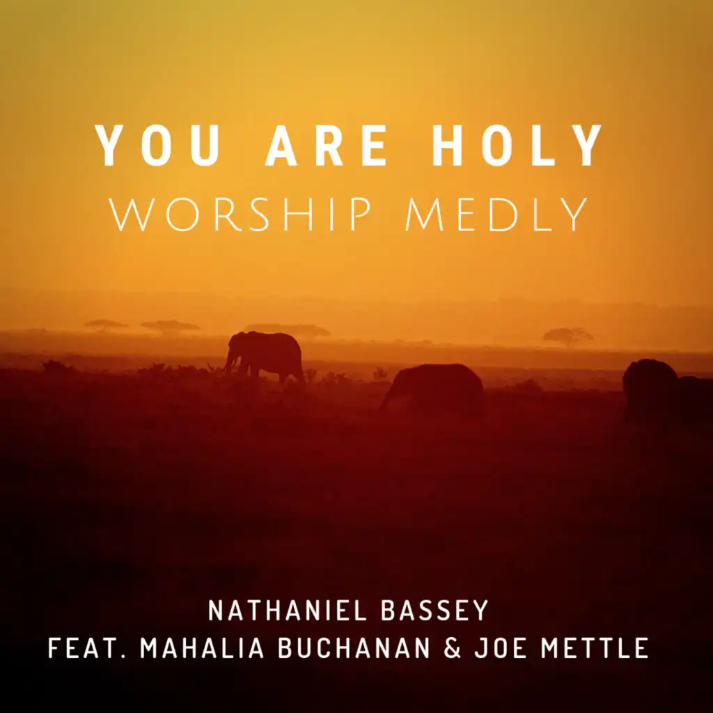 You Are Holy (Worship Medly) [feat. Mahalia Buchanan & Joe Mettle]