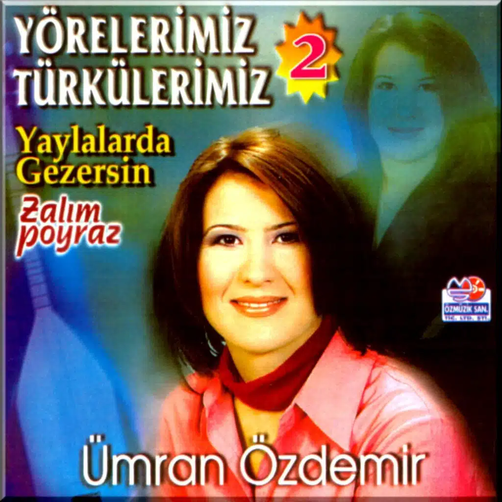 Yörelerimiz Türkülerimiz, Vol. 2