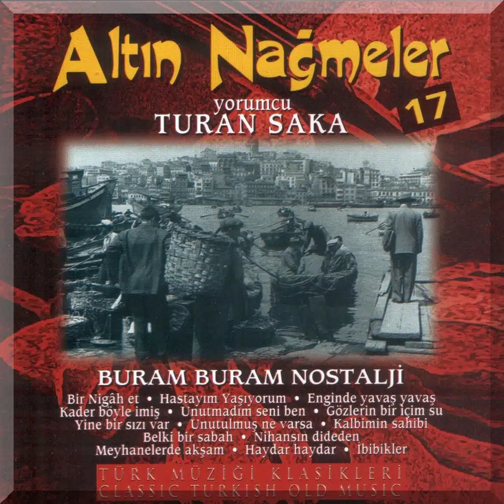 Altın Nağmeler, Vol. 17