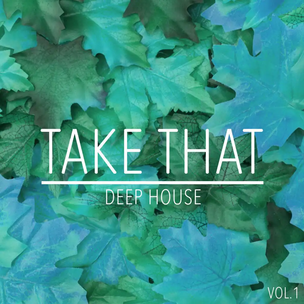 Take That Deep House, Vol. 1